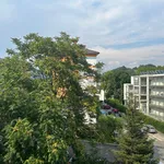 Rent 2 bedroom apartment of 53 m² in Graz