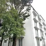 Rent 2 bedroom apartment in Christchurch