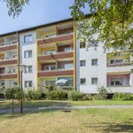 Rent 3 bedroom apartment of 62 m² in Berlin