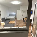 Rent 1 bedroom apartment of 32 m² in Berlin