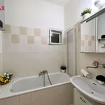 Rent 2 bedroom apartment of 80 m² in České Budějovice