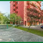 Rent 1 bedroom apartment of 35 m² in Gallarate