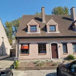 Rent 3 bedroom house in Bambrugge