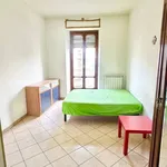 Rent 2 bedroom apartment of 45 m² in Turin