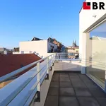 Rent 3 bedroom apartment of 113 m² in Brno