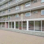 Rent 3 bedroom apartment of 66 m² in Stadshart