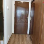 Rent 1 bedroom apartment of 20 m² in Capital City of Prague