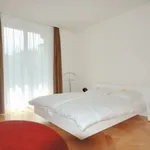 Rent 2 bedroom apartment of 753 m² in Zurich