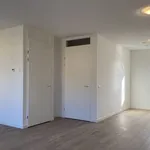 Rent 3 bedroom house of 120 m² in Veldhoven