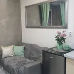 Pronajměte si 1 ložnic/e byt o rozloze 21 m² v Prague