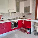 Rent 4 bedroom apartment of 90 m² in Bologna