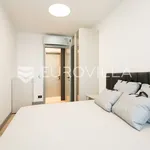 Rent 3 bedroom apartment of 177 m² in Zagreb