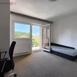 Rent 1 bedroom apartment of 12 m² in Trhový Štěpánov