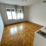 Mietwohnung mit Küchenzeile und ca. 29,60 m² in LEOBEN