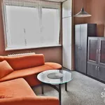 Rent 1 bedroom apartment in Uherské Hradiště