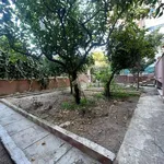 Rent 5 bedroom apartment of 1 m² in Palermo