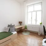 Rent 1 bedroom apartment of 12 m² in Brno