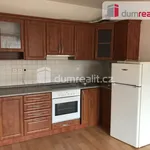 Rent 2 bedroom apartment of 45 m² in Praha