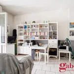 Rent 1 bedroom apartment of 40 m² in Milano