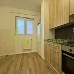 Rent 2 bedroom apartment in Vsetín