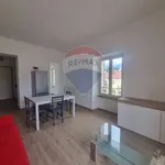 Rent 3 bedroom apartment of 50 m² in Biella