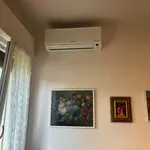 Rent 2 bedroom apartment of 80 m² in Bologna