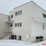 Rent 10 bedroom house of 280 m² in Włocławek