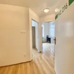 Rent 1 bedroom apartment in Brno