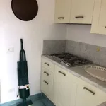 Villa Bifamiliare in in affitto da privato a Pietrasanta via Umberto Maddalena, 91, giardino privato, posto auto, da privato - TrovaCasa