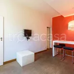 Rent 2 bedroom apartment of 60 m² in Firenze