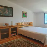 Rent 4 bedroom apartment of 130 m² in Grad Rijeka