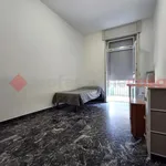 Rent 1 bedroom apartment of 150 m² in verona