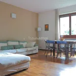 Rent 3 bedroom apartment of 110 m² in Monza