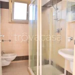 Rent 2 bedroom apartment of 55 m² in Montecatini-Terme