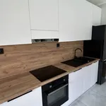 Rent 2 bedroom apartment of 60 m² in Bielsko-Biała