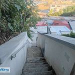 Rent 2 bedroom apartment of 35 m² in Naples