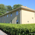 Rent 1 bedroom apartment of 24 m² in Hobro