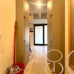 Rent 2 bedroom apartment of 60 m² in Milano