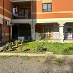 Rent 1 bedroom apartment of 55 m² in Roma