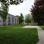 Rent 4 bedroom apartment of 70 m² in Duisburg