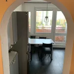 Rent 3 bedroom apartment in Ostrava