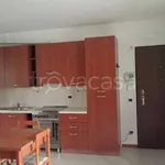 Rent 1 bedroom apartment of 44 m² in Cernusco sul Naviglio