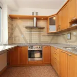 Rent 2 bedroom apartment of 56 m² in Prague