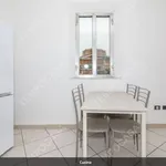 Rent 3 bedroom apartment of 80 m² in Bologna