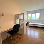 Rent 4 bedroom apartment of 90 m² in Trento