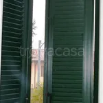 Rent 2 bedroom apartment of 50 m² in Gemonio