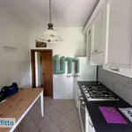 Affitto 3 camera appartamento di 75 m² in Florence