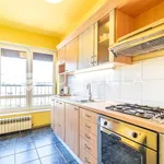 Rent 1 bedroom apartment of 58 m² in Zagreb