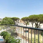 Rent 3 bedroom apartment of 132 m² in Rome