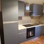 2-room flat via Tosco Romagnola Est 625, San Miniato, San Miniato